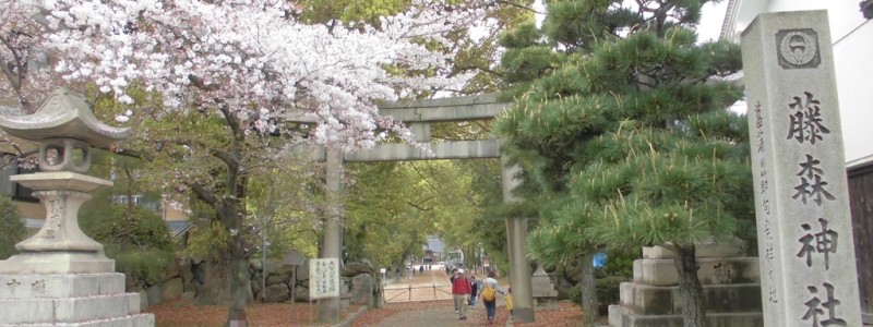 JR藤森駅[JR西日本]（京都市伏見区）～単線と複線の境界に位置し、混同回避目的の「JR」を冠しながら墨染駅の方が近いトリビアを持つ奈良線最新の駅～